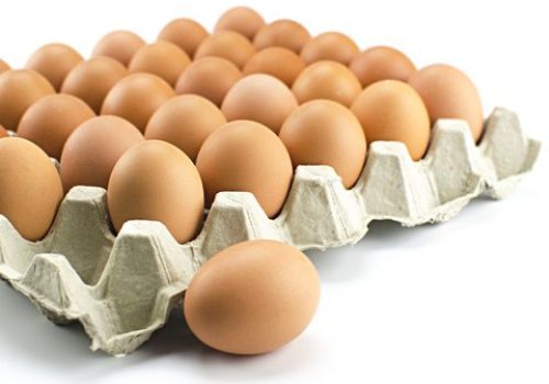 chicken-eggs